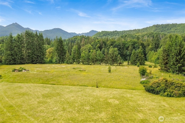 8120 Gordon Rd, Concrete, WA 98237 - view of mountain background with a forest