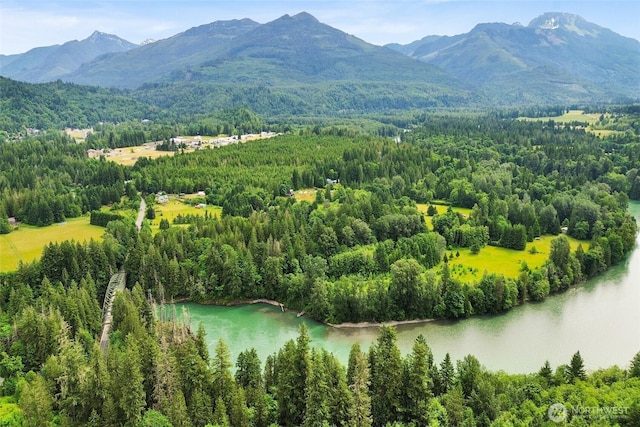 8120 Gordon Rd, Concrete, WA 98237 - aerial view of a forest and a water and mountain view