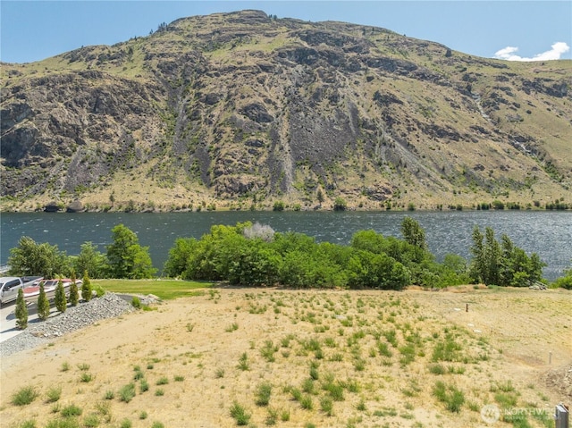 519 Hidden Ln, Chelan, WA 98816