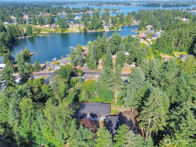 3327 170th Ave E, Lake Tapps, WA 98391 - aerial overview of property's location featuring a large body of water