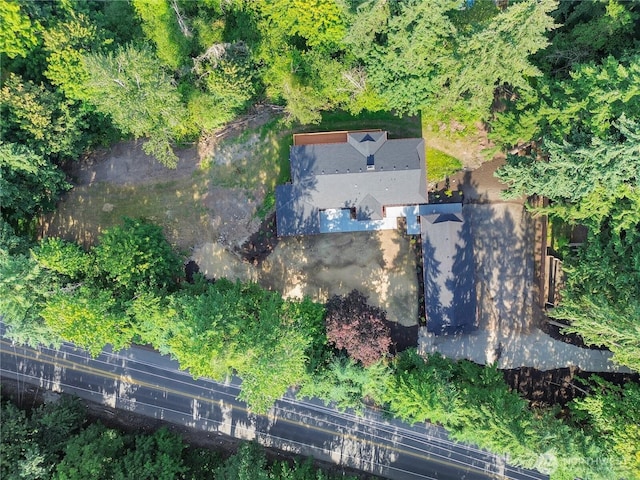 3327 170th Ave E, Lake Tapps, WA 98391 - aerial view of property and surrounding area