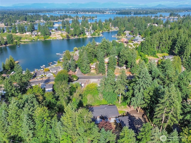 3327 170th Ave E, Lake Tapps, WA 98391 - aerial view of property and surrounding area featuring a large body of water