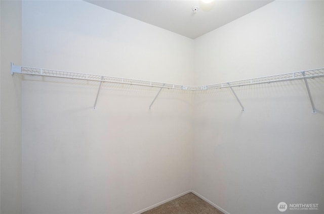 6711 S 239th Pl Unit A103, Kent, WA 98032 - walk in closet with carpet
