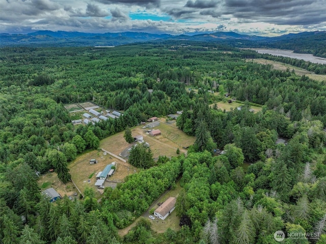 193 SE Arabian Rd, Shelton, WA 98584 - photo 6