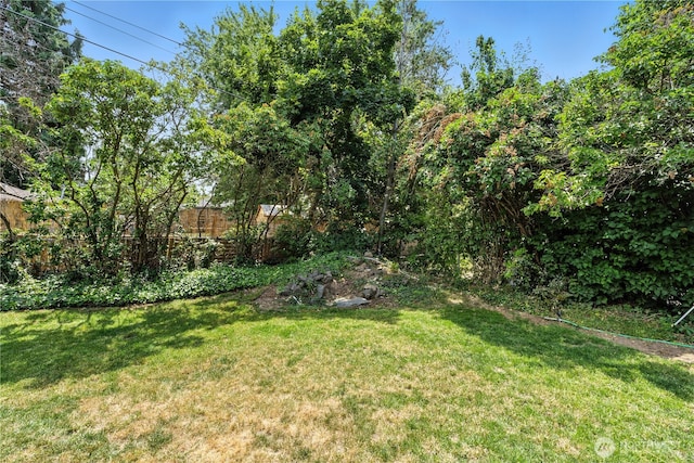 2348 Rainier St, Walla Walla, WA 99362 - view of yard