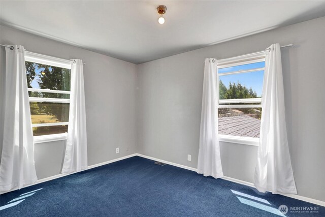 5968 Abbey Rd, Ferndale, WA 98248 - photo 22