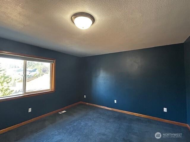 4123 157th St NW, Stanwood, WA 98292 - photo 37