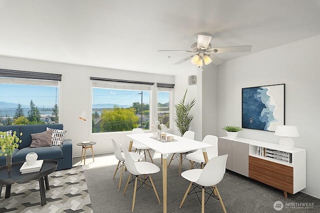 910 34th St Unit 302, Anacortes, WA 98221 - carpeted dining space with a ceiling fan