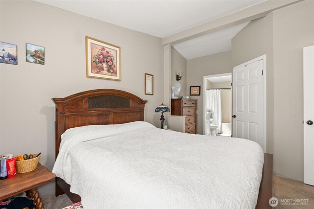 101 Shenandoah Dr, Silverlake, WA 98645 - bedroom featuring light carpet and ensuite bath