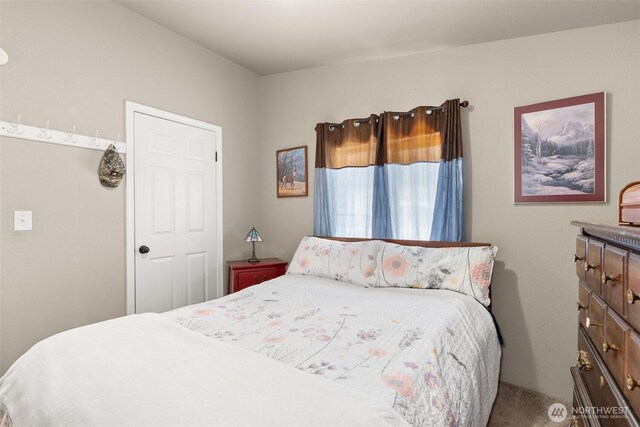 101 Shenandoah Dr, Silverlake, WA 98645 - bedroom with carpet floors