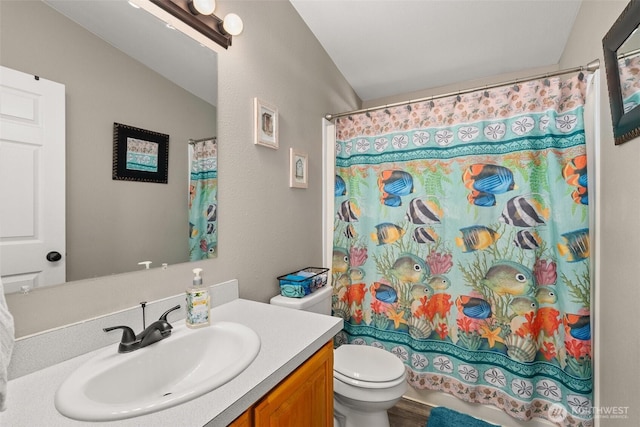 101 Shenandoah Dr, Silverlake, WA 98645 - full bathroom with vanity, lofted ceiling, and a shower with shower curtain