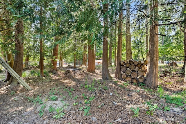 101 Shenandoah Dr, Silverlake, WA 98645 - view of nature