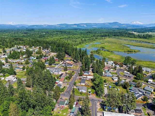 101 Shenandoah Dr, Silverlake, WA 98645 - aerial view of property and surrounding area with a water and mountain view