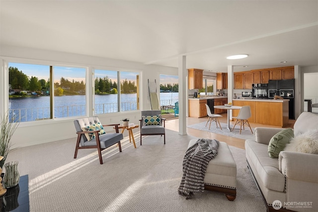 3604 Serene Way, Lynnwood, WA 98087 - living area featuring light colored carpet and a water view