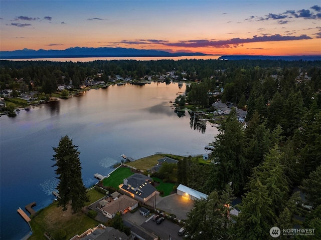 3604 Serene Way, Lynnwood, WA 98087 - aerial view at dusk of a forest view and a water view