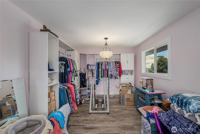 3418 Mari Lane Dr, Wenatchee, WA 98801 - spacious closet with light wood-style floors