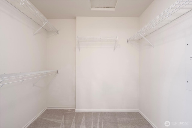 17445 NE 28th St, Redmond, WA 98052 - walk in closet with carpet flooring