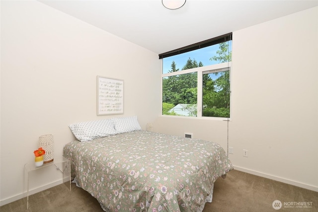 8505A 14th Ave NW, Seattle, WA 98117 - bedroom featuring carpet floors