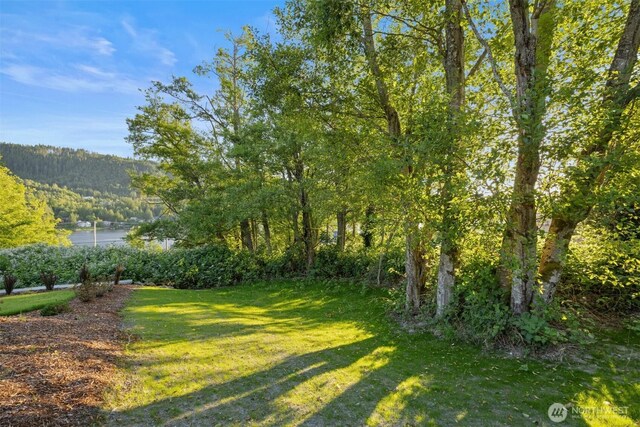 18158 Freedom Ln, Mount Vernon, WA 98274 - photo 14