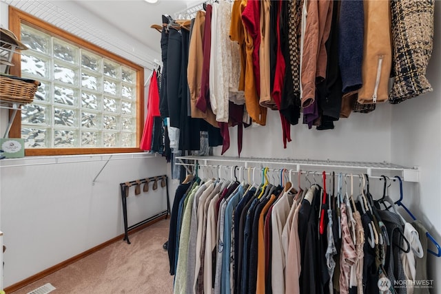582 Lower Daniels Dr, East Wenatchee, WA 98802 - walk in closet featuring carpet floors