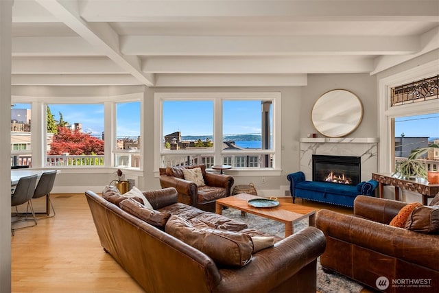 1012 2nd Ave W, Seattle, WA 98119 - living room featuring beam ceiling, light wood-type flooring, and a premium fireplace