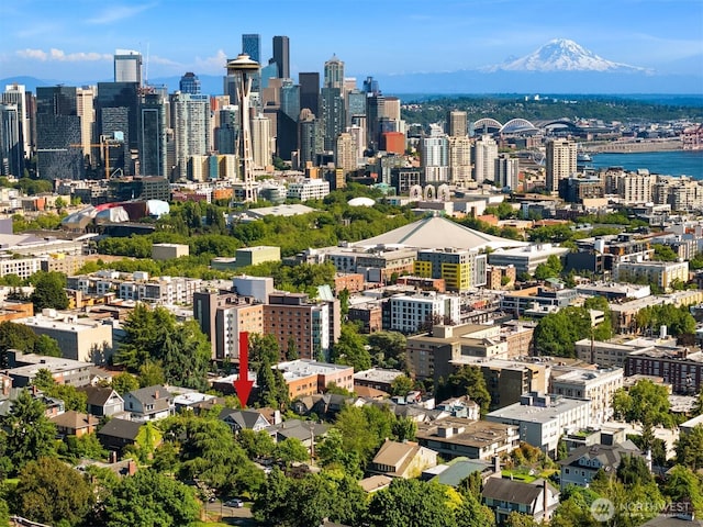 1012 2nd Ave W, Seattle, WA 98119 - skyline view featuring a mountain backdrop