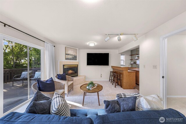 7969 W Golf Course Dr, Birch Bay, WA 98230 - carpeted living room featuring a fireplace and rail lighting