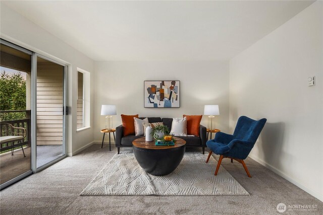 5300 Harbour Pointe Blvd Unit 302G, Mukilteo, WA 98275 - sitting room featuring carpet flooring