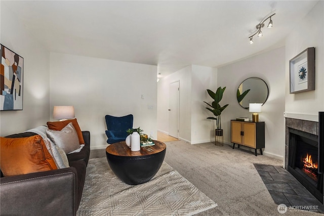 5300 Harbour Pointe Blvd Unit 302G, Mukilteo, WA 98275 - carpeted living area featuring a fireplace and baseboards