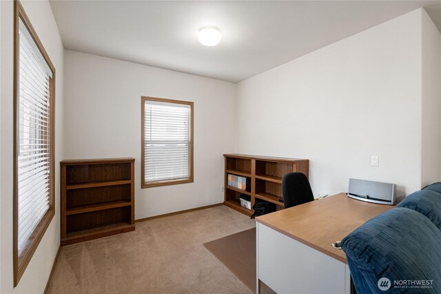 17830 25th Ave E, Tacoma, WA 98445 - photo 10