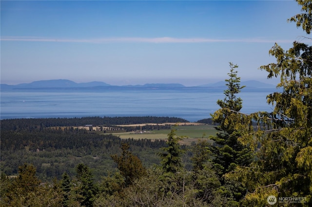 9999 Covey Run, Sequim, WA 98382