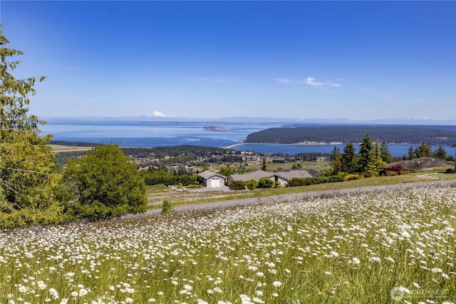 9999 Covey Run, Sequim, WA 98382