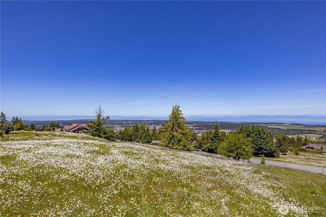9999 Covey Run, Sequim, WA 98382