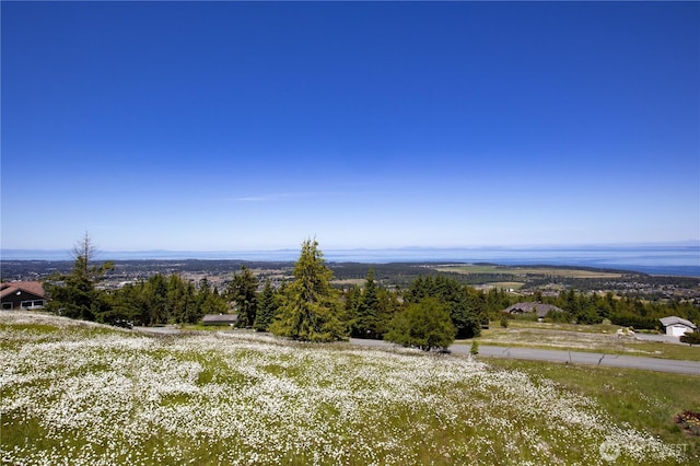 9999 Covey Run, Sequim, WA 98382