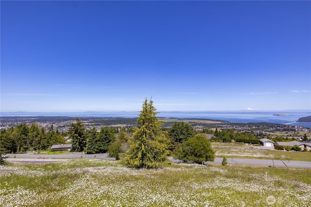 9999 Covey Run, Sequim, WA 98382