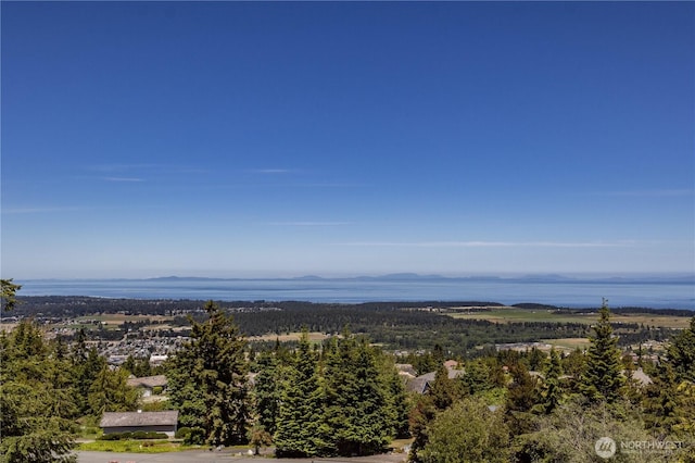 9999 Covey Run, Sequim, WA 98382