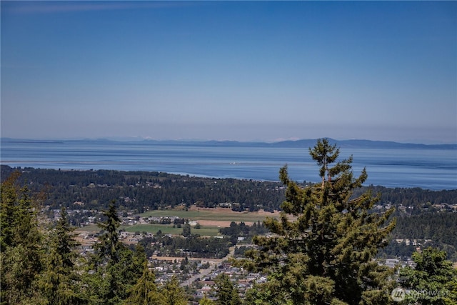 9999 Covey Run, Sequim, WA 98382