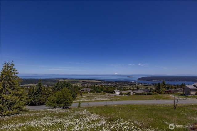 9999 Covey Run, Sequim, WA 98382