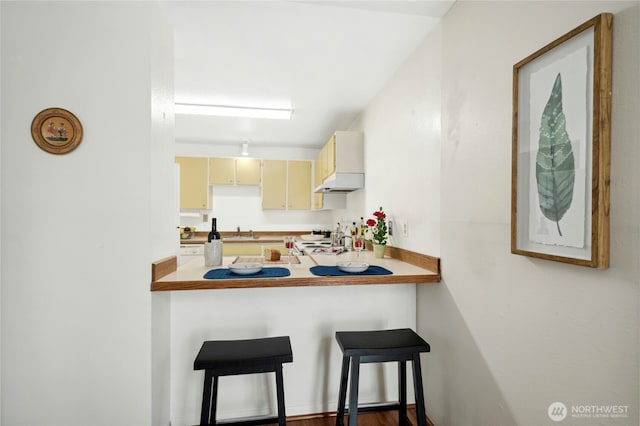 12613 SE 42nd St Unit 613, Bellevue, WA 98006 - kitchen featuring range, under cabinet range hood, cream cabinets, and a kitchen bar