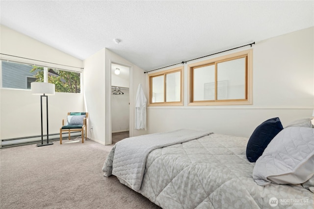 12613 SE 42nd St Unit 613, Bellevue, WA 98006 - carpeted bedroom with a baseboard radiator, vaulted ceiling, a textured ceiling, a spacious closet, and a closet