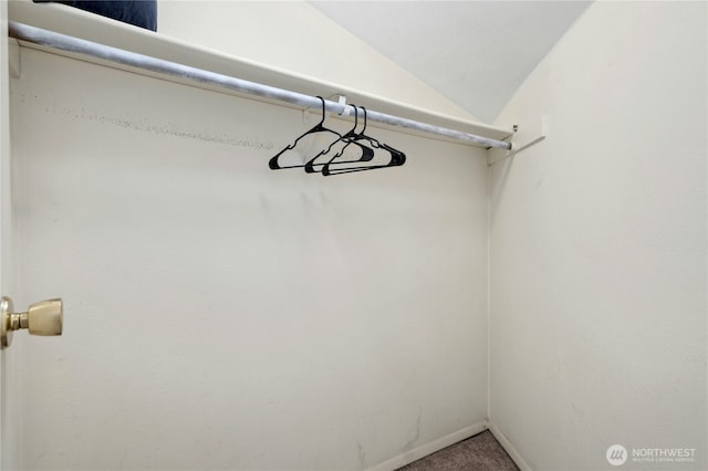 12613 SE 42nd St Unit 613, Bellevue, WA 98006 - spacious closet featuring lofted ceiling and carpet floors