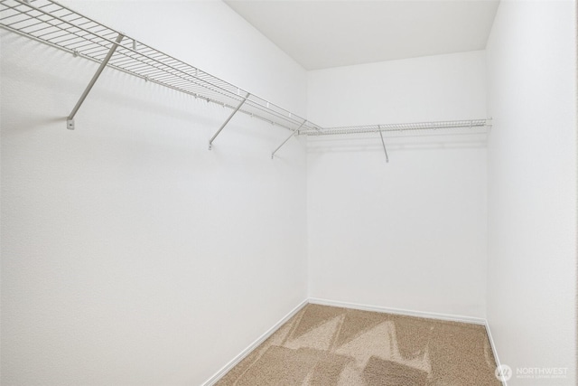 14926 Woodland Ave E, Puyallup, WA 98375 - spacious closet featuring light colored carpet