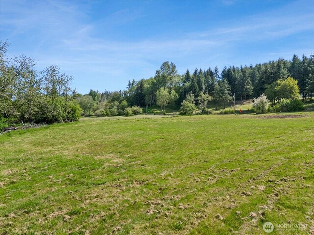0 Ferrier Rd, Winlock, WA 98596 - photo 7