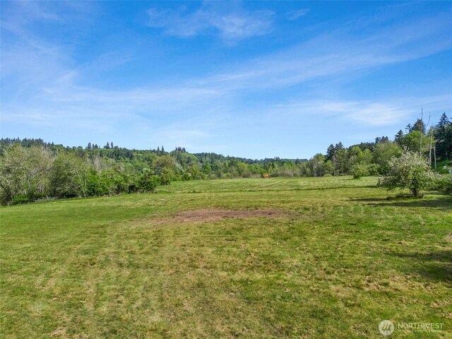 0 Ferrier Rd, Winlock, WA 98596 - photo 8