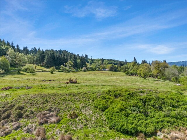 0 Ferrier Rd, Winlock, WA 98596 - photo 9