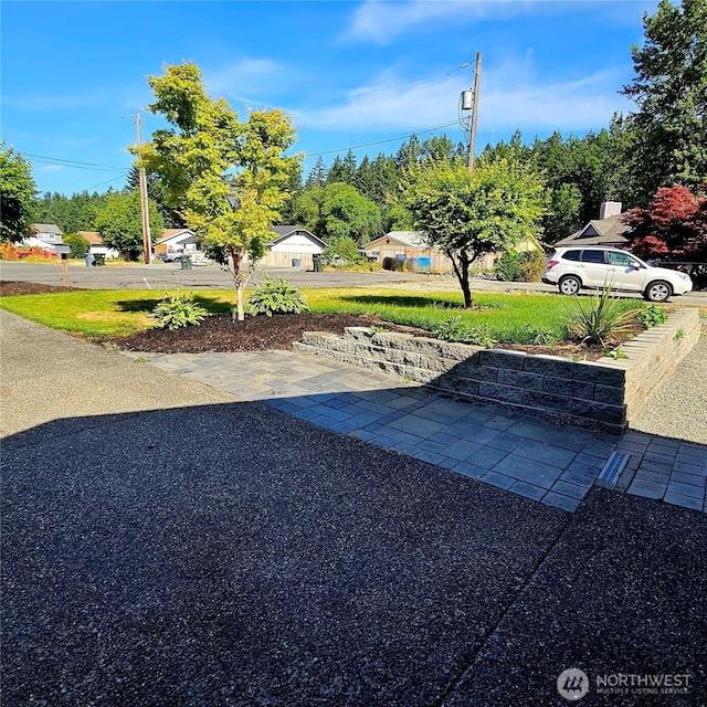 24827 36th Ave E, Spanaway, WA 98387 - view of yard