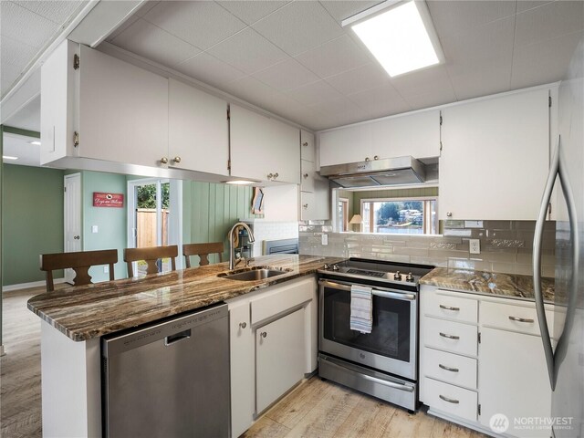 7217 20th Ave SE, Lacey, WA 98503 - kitchen with appliances with stainless steel finishes, under cabinet range hood, light wood-style floors, tasteful backsplash, and a peninsula