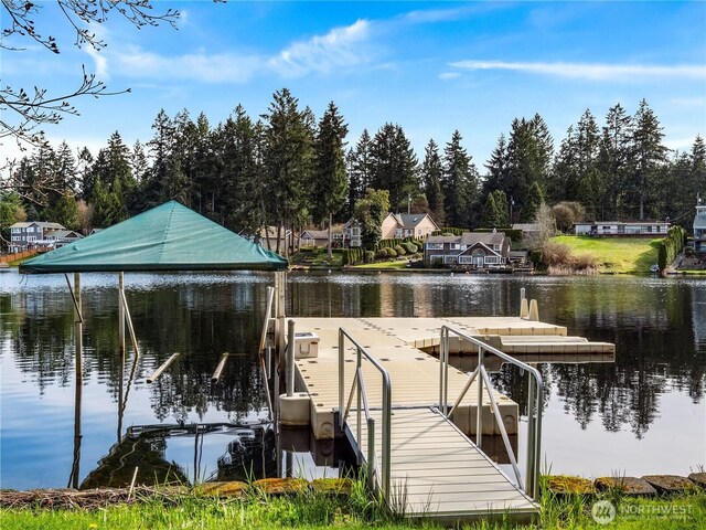 7217 20th Ave SE, Lacey, WA 98503 - dock area with a water view