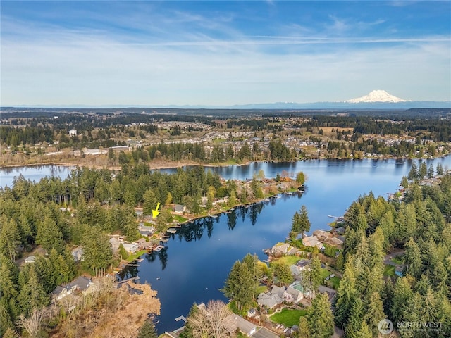 7217 20th Ave SE, Lacey, WA 98503 - drone / aerial view of a large body of water