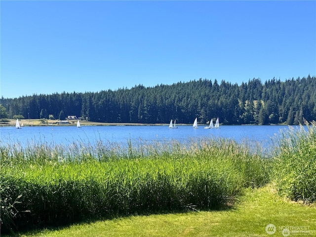 5255 Apollo Rd, Langley, WA 98260 - photo 38